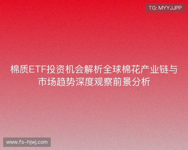 棉质ETF投资机会解析全球棉花产业链与市场趋势深度观察前景分析